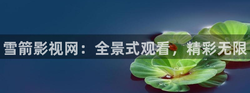 神马影院秋霞网