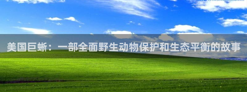 神马影院秋霞电影