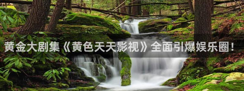 秋霞高清视频在线播放
