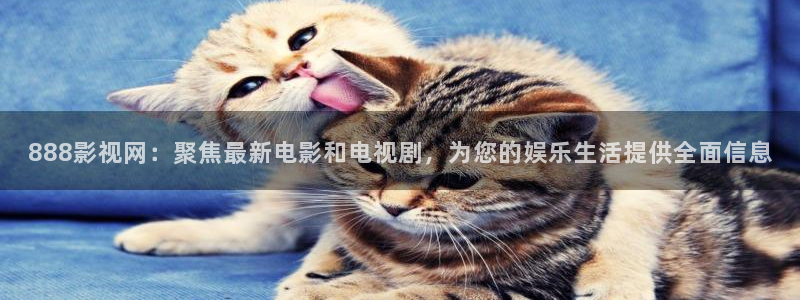 秋霞电影韩国最新