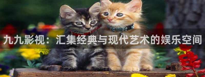 神马电影网秋霞电影院