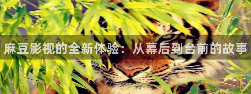 秋霞国产影院