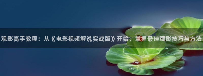 秋霞免费的