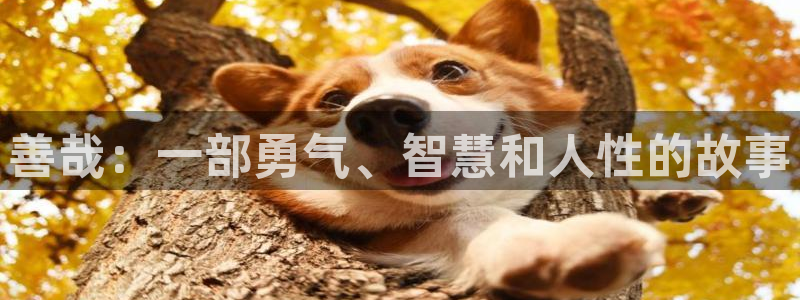 神马秋霞伦理片