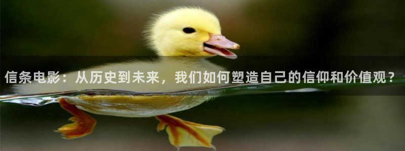 秋霞电影网午夜鲁丝片在线观看