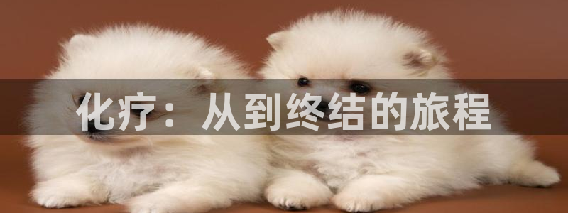 秋霞网在线观看手机版