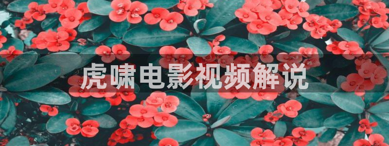 秋霞在线一区