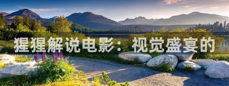 神马电影网之秋霞影院