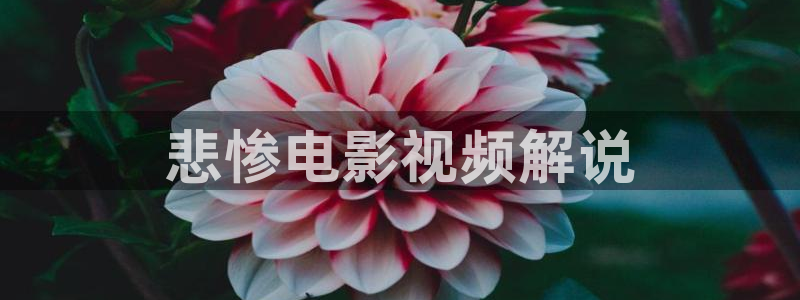 秋霞成人三级电影