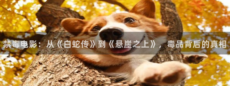 秋霞手机伦理网