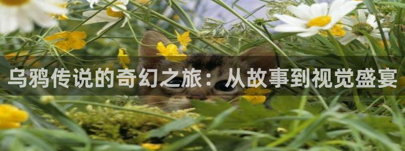 秋霞电影在线影院