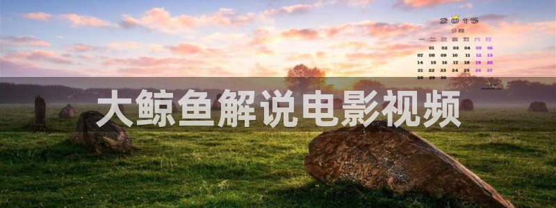 秋霞午夜免费电影网：大鲸鱼解说电影视频