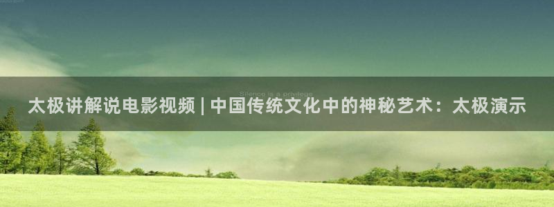 秋霞欧美网：太极讲解说电影视频 | 中国传统文化中的神秘艺术：太极演示