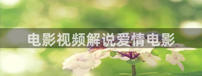 秋霞影院理论电影：电影视频解说爱情电影