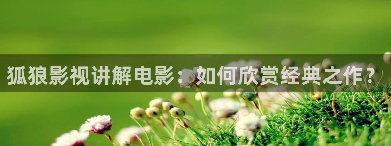 韩国理伦片秋霞网：狐狼影视讲解电影：如何欣赏经典之作？