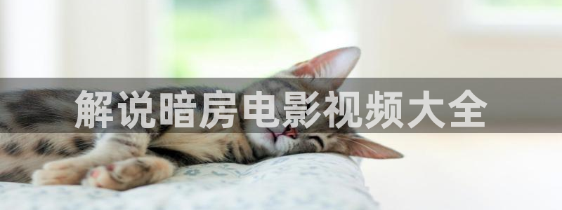 秋霞网手机在线看：解说暗房电影视频大全