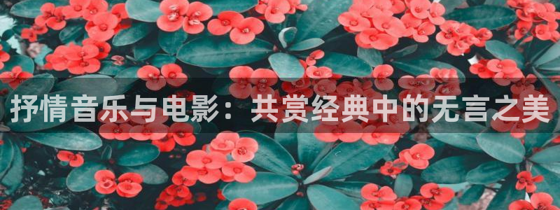 秋霞乱电影