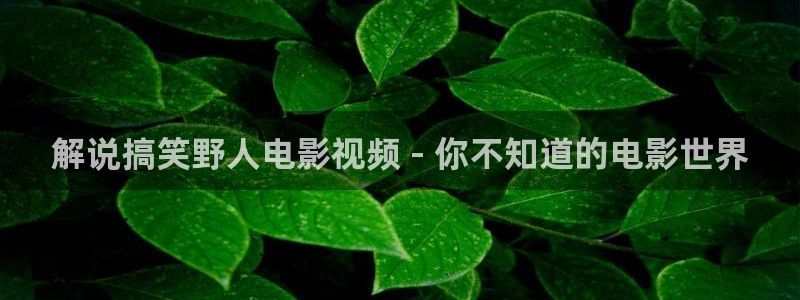 秋霞电影网十八岁入口