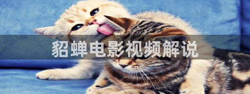 秋霞在线观看视频在线观看电影