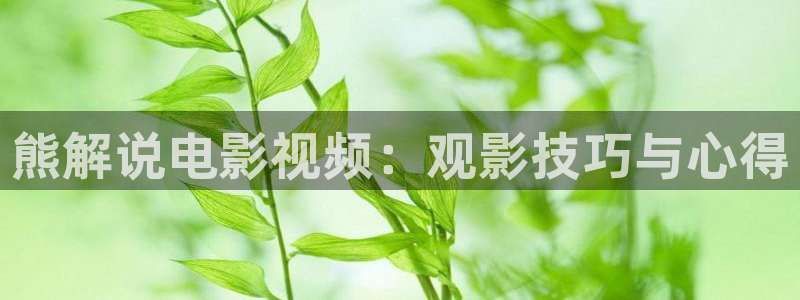 秋霞福利电影：熊解说电影视频：观影技巧与心得