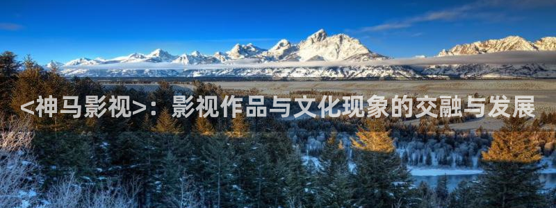 秋霞电影网站在线：<神马影视>：影视作品与文化现象的交融与发展