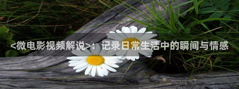 秋霞韩国理伦电影在线观看hd：<微电影视频解说>：记录日常生活中的瞬间与情感