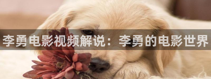 秋霞电影最新网址：李勇电影视频解说：李勇的电影世界