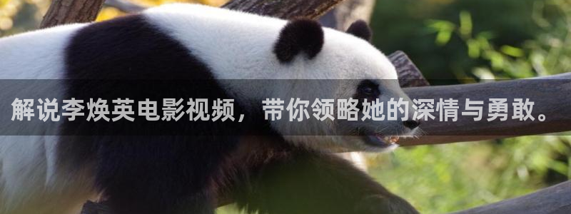 秋霞影网：解说李焕英电影视频，带你领略她的深情与勇敢。