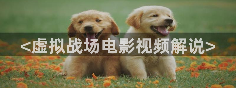 秋霞网666：<虚拟战场电影视频解说>