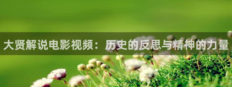 新视觉秋霞影院：大贤解说电影视频：历史的反思与精神的力量