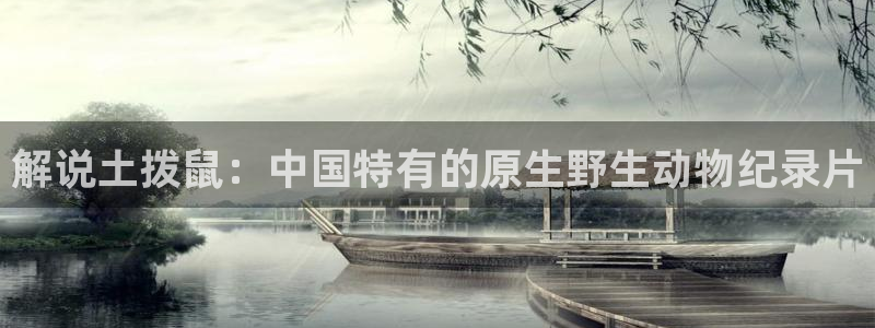 秋霞伦理片在线看：解说土拨鼠：中国特有的原生野生动物纪录片