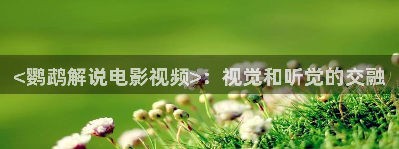 秋霞影视app：<鹦鹉解说电影视频>：视觉和听觉的交融