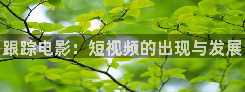 秋霞伦理午夜电影