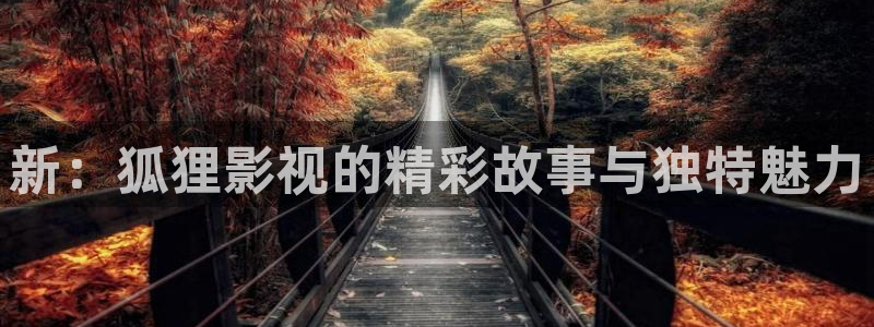 凑点影视秋霞