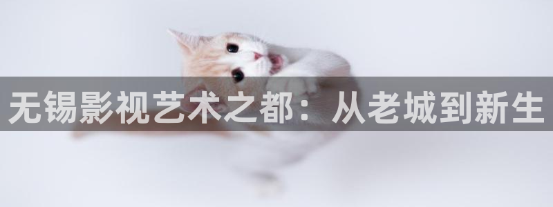 秋霞电影网址在线观看