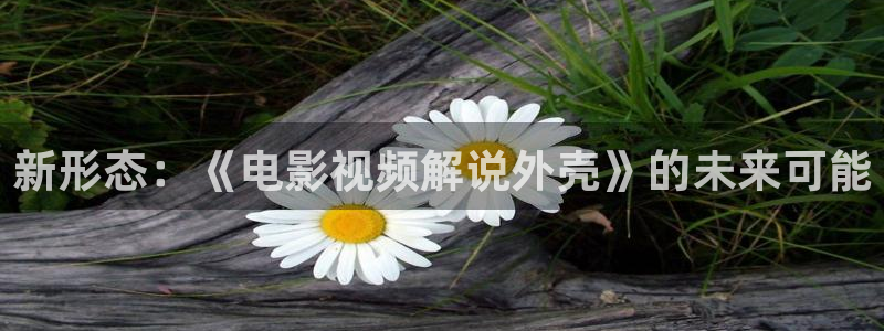 秋霞电影视频在线观看