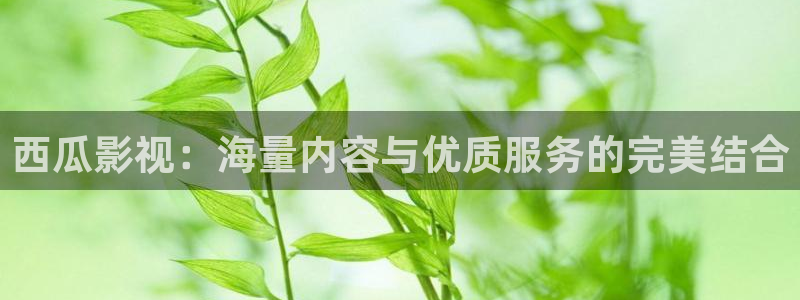 秋霞免费的电影