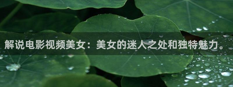 好似天堂秋霞影院