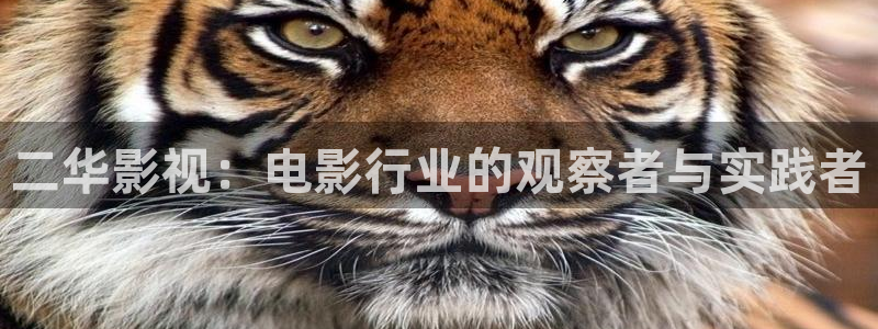 秋霞在线免费观看秋霞