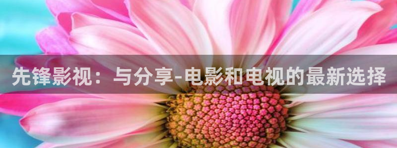 秋霞免费黄色网