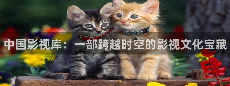 秋霞新地址