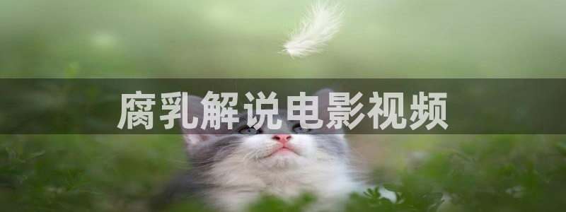 秋霞电影网eeuss