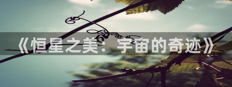秋霞影院高清秋