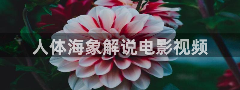 秋霞西瓜网