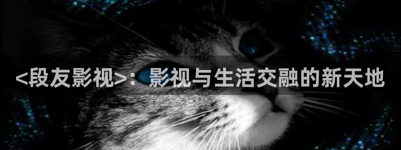 秋霞网电影网伦理片