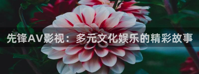 秋霞神马在线