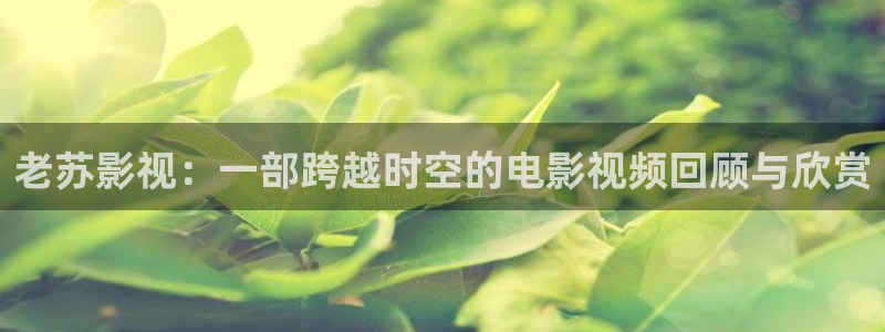 快播电影秋霞